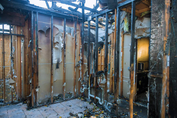 Professional Fire Damage Removal technician working in Leesburg, FL