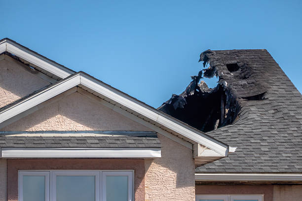 Top rated local Fire Damage Removal specialists in Leesburg, FL
